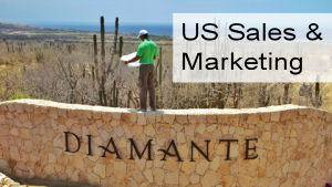 US Sales & Marketing |  | Lyan Alliance | marketing & management consulting