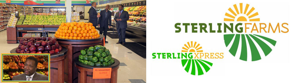 Sterling Farms & Sterling Express  | Lyan Alliance | marketing & management consulting